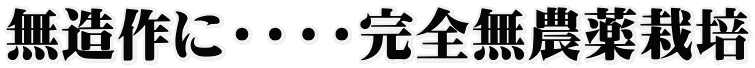 無造作に・・・・完全無農薬栽培 