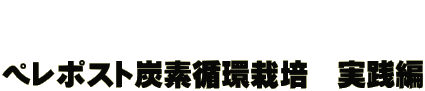ペレポスト炭素循環栽培 実践編