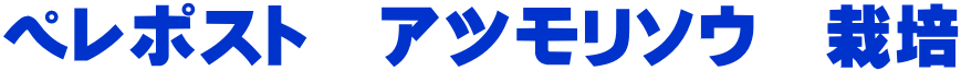ペレポスト アツモリソウ 栽培