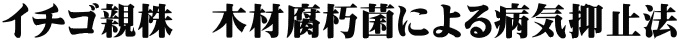 イチゴ親株 木材腐朽菌による病気抑止法