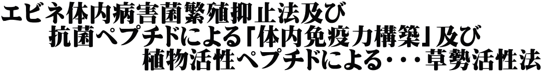 エビネ体内病害菌繁殖抑止法及び 　　抗菌ペプチドによる「体内免疫力構築」及び 　　　　　　植物活性ペプチドによる・・・草勢活性法