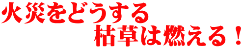 火災をどうする 　　　　枯草は燃える！ 