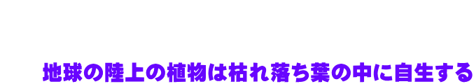   　　 　　地球の陸上の植物は枯れ落ち葉の中に自生する