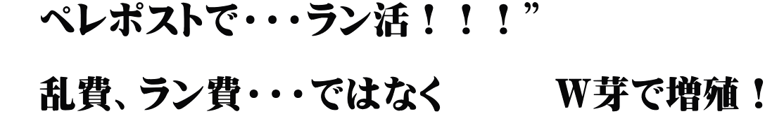 　ペレポストで・・・ラン活！！！” 　　　　　　　　　 　乱費、ラン費・・・ではなく　　　Ｗ芽で増殖！ 