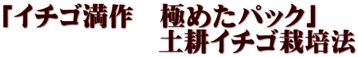 「イチゴ満作　極めたパック」 　　　　　　土耕イチゴ栽培法