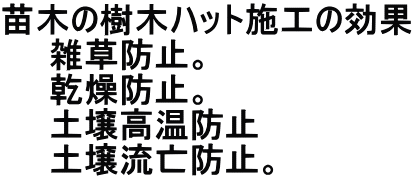 苗木の樹木ハット施工の効果 　　雑草防止。 　　乾燥防止。 　　土壌高温防止 　　土壌流亡防止。