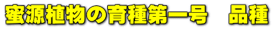 蜜源植物の育種第一号　品種