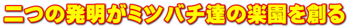 二つの発明がミツバチ達の楽園を創る