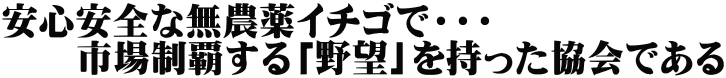 安心安全な無農薬イチゴで・・・ 　　市場制覇する「野望」を持った協会である 