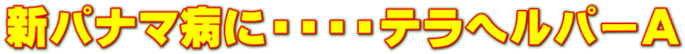 新パナマ病に・・・・テラヘルパーＡ