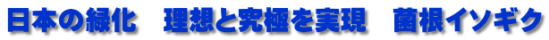 日本の緑化　理想と究極を実現　菌根イソギク