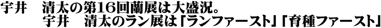 宇井 清太の第16回蘭展は大盛況。 宇井 清太のラン展は「ランファースト」「育種ファースト」