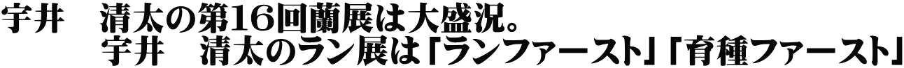 宇井　清太の第１６回蘭展は大盛況。 　　　宇井　清太のラン展は「ランファースト」「育種ファースト」