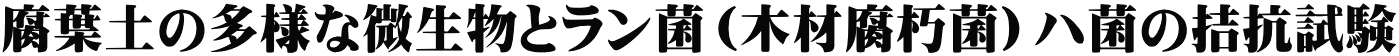 腐葉土の多様な微生物とラン菌（木材腐朽菌）ハ菌の拮抗試験