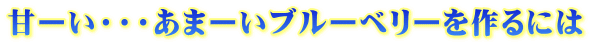 甘ーい・・・あまーいブルーベリーを作るには 