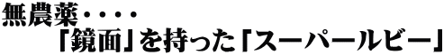 無農薬・・・・ 　　「鏡面」を持った「スーパールビー」