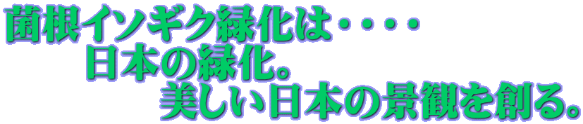 菌根イソギク緑化は・・・・ 　　日本の緑化。 　　　　美しい日本の景観を創る。 