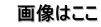 画像はここ