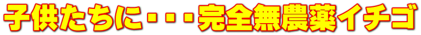 子供たちに・・・完全無農薬イチゴ