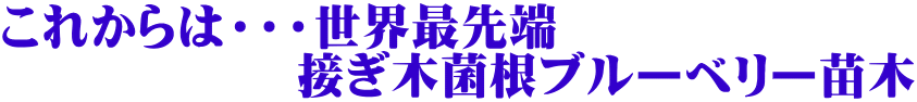 これからは・・・世界最先端 　　　　　　接ぎ木菌根ブルーベリー苗木