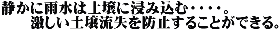 静かに雨水は土壌に浸み込む・・・・。 　　激しい土壌流失を防止することができる。 