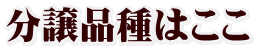 分譲品種はここ