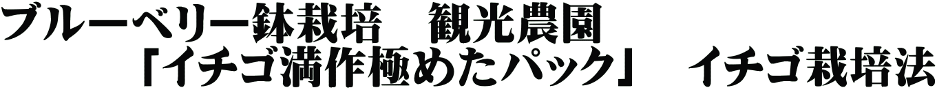 ブルーベリー鉢栽培　観光農園 　　　「イチゴ満作極めたパック」　イチゴ栽培法