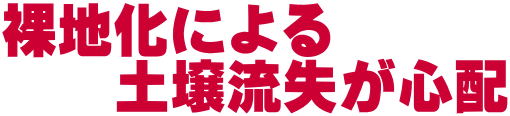 裸地化による 　　土壌流失が心配 