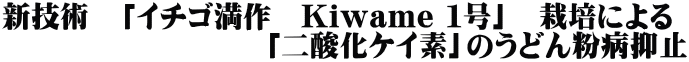 新技術 「イチゴ満作 Kiwame 1号」 栽培による 「二酸化ケイ素」のうどん粉病抑止