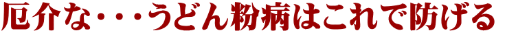 厄介な・・・うどん粉病はこれで防げる　 