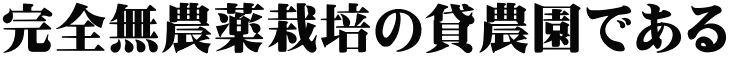 完全無農薬栽培の貸農園である