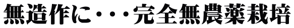 無造作に・・・完全無農薬栽培 