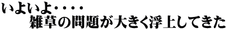 いよいよ・・・・ 　　雑草の問題が大きく浮上してきた