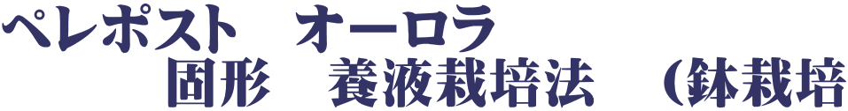 ペレポスト オーロラ 固形 養液栽培法 (鉢栽培