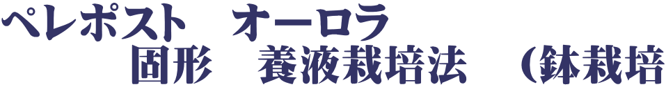 ペレポスト　オーロラ　 　　　固形　養液栽培法　（鉢栽培