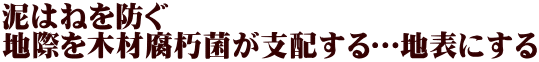 泥はねを防ぐ 地際を木材腐朽菌が支配する…地表にする 