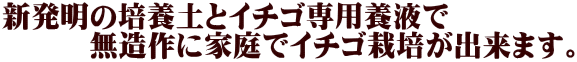 新発明の培養土とイチゴ専用養液で 　　　無造作に家庭でイチゴ栽培が出来ます。 