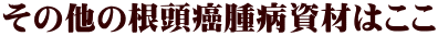 ̑̍aނ͂ 