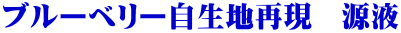 ブルーベリー自生地再現　源液 