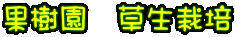果樹園 草生栽培