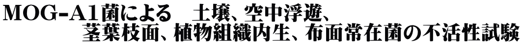 MOG-A1菌による　土壌、空中浮遊、 　　　　茎葉枝面、植物組織内生、布面常在菌の不活性試験