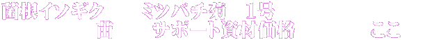 菌根イソギク　　ミツバチ菊　１号 　　　　　苗　　サポート資材価格　　　　ここ　　