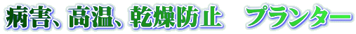 病害、高温、乾燥防止　プランター