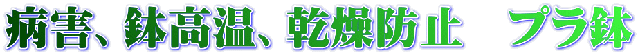 病害、鉢高温、乾燥防止　プラ鉢