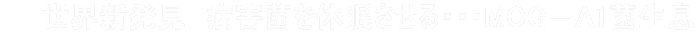 　　世界新発見　病害菌を休眠させる・・・MOG－A1菌生息