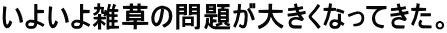 いよいよ雑草の問題が大きくなってきた。