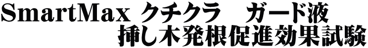 SmartMax クチクラ　ガード液 　　　　　挿し木発根促進効果試験 