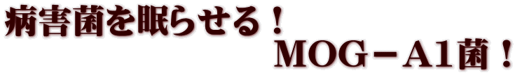 病害菌を眠らせる! MOG-A1菌!