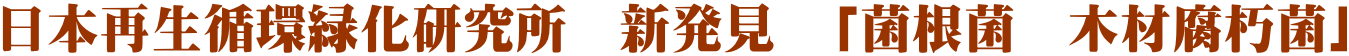 日本再生循環緑化研究所　新発見　「菌根菌　木材腐朽菌」 