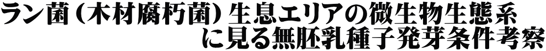 ラン菌（木材腐朽菌）生息エリアの微生物生態系 　　　　　　　　に見る無胚乳種子発芽条件考察